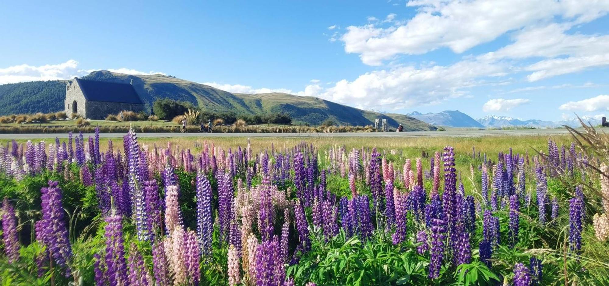 37 Galaxy C Studio Lake Tekapo Exterior foto