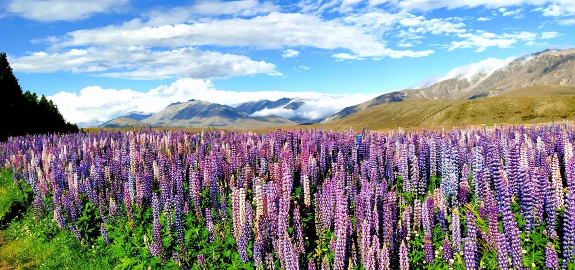 37 Galaxy C Studio Lake Tekapo Exterior foto